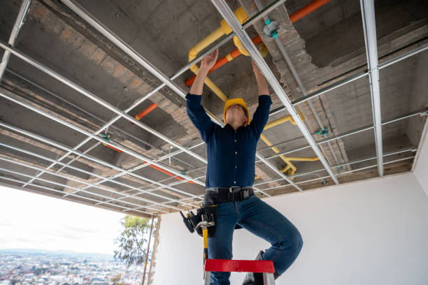 Best Residential Plumbing Services  in Oconto, WI
